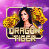 Dragon Tiger bet100 live casino game